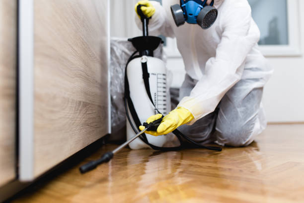Best Local Pest Control Services  in Eagle Lake, MN