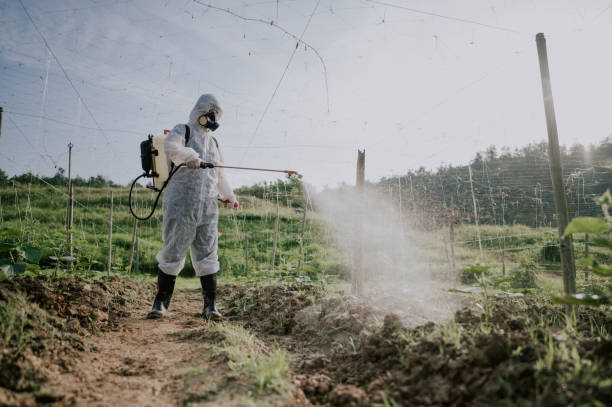 Best Best Pest Control Companies  in Eagle Lake, MN