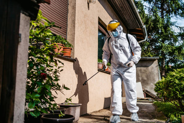 Best Local Pest Control Services  in Eagle Lake, MN