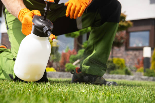 Best Pest Prevention Services  in Eagle Lake, MN
