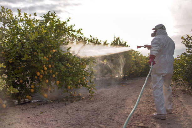 Best Mosquito Control Services  in Eagle Lake, MN