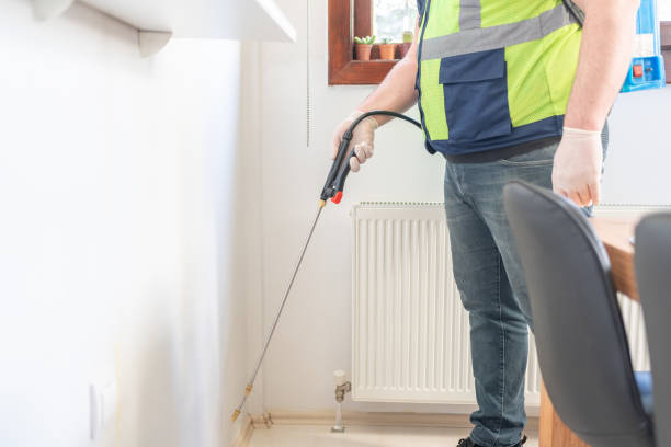 Best Affordable Pest Control Services  in Eagle Lake, MN