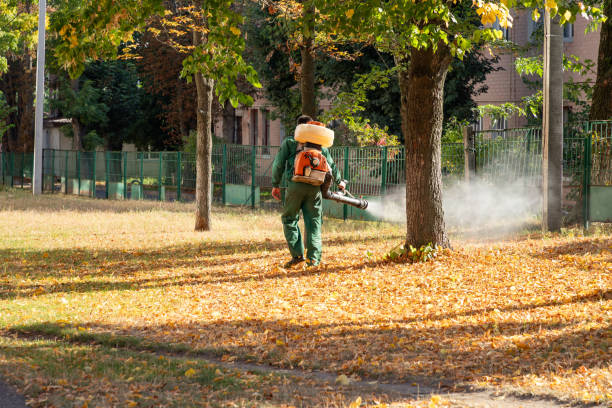 Best Wasp Removal Services  in Eagle Lake, MN
