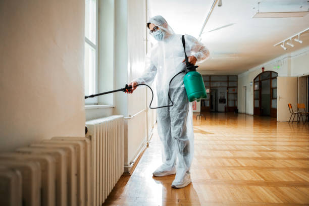 Best Pest Removal Services  in Eagle Lake, MN