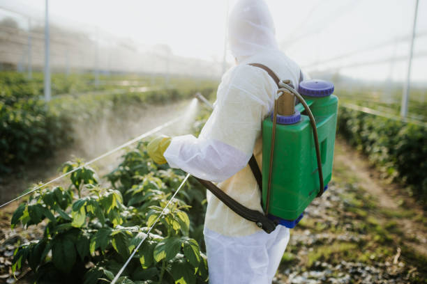 Best Residential Pest Control  in Eagle Lake, MN